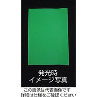 エスコ 1.0kg [屋内用]水性蓄光塗料 EA942EV-25 1個（直送品）