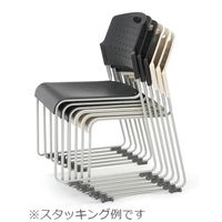 アイリスチトセ　HGSシリーズ　座ブルー　背ブラック　（直送品）