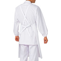 KAZEN 胸当エプロン(タスキ式) ホワイト 486-51 F 1個(2枚)