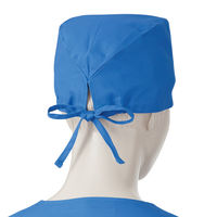 KAZEN カ】197ー61 ブルー F (2枚入り) 197-61-F*2 1セット(2枚入)