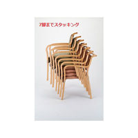 アイリスチトセ　テンダーチェアHG　レギュラー　全肘　ダーク／グレー　HG-F-D-UP2838　1脚　（直送品）