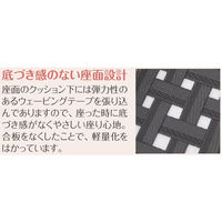 アイリスチトセ　レリスタ　ダークブラウン／グリーン　RST-MD-UP2765　1脚　（直送品）