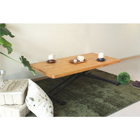 【軒先渡し】東馬（Tohma）　aldy　リフティングテーブル　ナチュラル　幅1200×奥行600×高さ230～720mm　1台　（直送品）