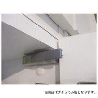 白井産業 ポルターレ 壁面収納キャビネット 幅300mm ナチュラル（直送品）