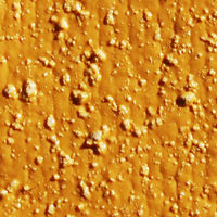 ショーワグローブ ショーワ ニトリルゴム手袋 NO770水産ニトローブ イエロー LLサイズ NO770-LL 1双 409-2635（直送品）