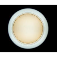 アズワン コロニー撮影キット 205×221×262mm KCS-1 1台 2-4221-01（直送品）