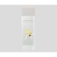 アズワン 観察用アクリル水槽平型(300×80) 2-724-02 1台（直送品）