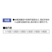 シンワ測定 シンワ 三角スケール Aー30 74950 1本 408-3792