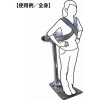 DAIKOU(ダイコー) 家庭用 ベルトバイブレーター 【メーカー保証1年】 DK302C 1個（直送品）