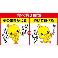 日清食品 0秒チキンラーメン 75g 1セット（10食） お菓子 スナック インスタントラーメン 袋麺