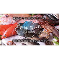 絆屋 【お中元ギフト・熨斗付き】(凍眠市場)大分りゅうきゅう漬けセット 801327 1セット（直送品）