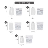 ＳＨＡＲＥＹＤＶＡサンプル用チップＮ クリア （ラウンド） ＃６ ５０Ｐ 113717 1個（直送品）