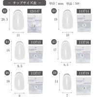 ＳＨＡＲＥＹＤＶＡサンプル用チップＮ クリア （ラウンド） ＃２ ５０Ｐ124147 (直送品) 1個（直送品）