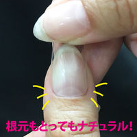 ＳＨＡＲＥＹＤＶＡオーダーチップ アソート ラウンド １００Ｐ 25836  1個（直送品）