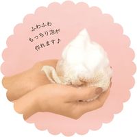 デコレコーポレーション 泡立ちマシュマロボディタオル フルーツサンド イチゴ AH-51052 1個（直送品）