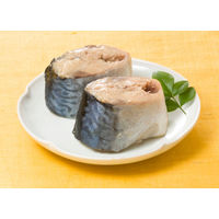 マルハニチロ さば水煮月花 1セット（10缶） 鯖缶