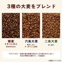 【水出し可】伊藤園 香り薫るむぎ茶 国産プレミアム ティーバッグ　1セット（120バッグ：24バッグ入×5袋）