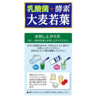 乳酸菌+酵素 大麦若葉 60袋 アサヒグループ食品 青汁