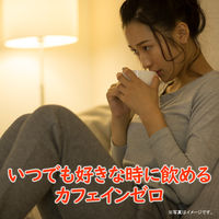 【水出し可】伊藤園 国産 はと麦茶ティーバッグ 1セット（90バッグ：30バッグ入×3袋）