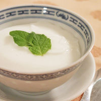 業務用 杏仁霜（きょうにんそう） アーモンドパウダー 400g 1個 ユウキ食品 杏仁豆腐の素