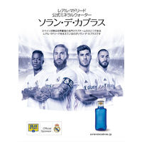 ソラン・デ・カブラス 500ml 1箱(20本入)