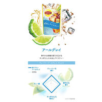 【水出し】リプトン 水出しアイスティー アールグレイ ティーバッグ 1袋（10バッグ入）