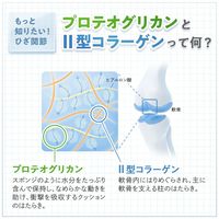 楽ひざ＜機能性表示食品＞ 90日分 [コラーゲン サプリ サプリメント 膝関節]