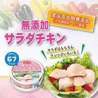 ホテイフーズ 無添加サラダチキン 1セット（24個）