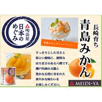 明治屋 日本のめぐみ 長崎育ち 青島みかん 12個