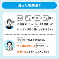 サンワサプライ ダイレクト:キーボード・マウス用パソコン切替器(2:1) 400-SW032 1個（直送品）