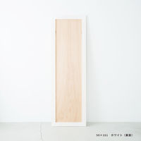 永井興産 幅広枠ウォールミラー 幅500×奥行20×高さ1610mm ホワイト NK-38WH 1台（直送品）