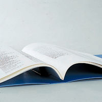 リヒトラブ バーロックファイル F643アイ 1冊