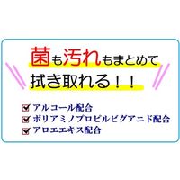 本田洋行 除菌できるウェット手袋 10枚×24袋入 65-0301-33 1箱(240枚)（直送品）
