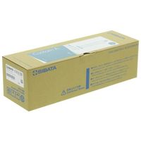 アズワン 有栓メスシリンダー カスタムA 250mL 中国語版校正証明書付 1-1960-08-57 1個（直送品）