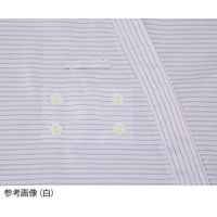 アズワン アズピュアクリーンスーツII(フード別・サイドファスナー型) 白 2L 4-3174-04 1枚（直送品）