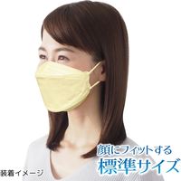 3D立体型やさしいマスク 標準 ベージュ 5枚入 ３袋セット DL05-AS 1セット（3袋） エスパック（直送品）