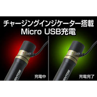 ジェントス RXトーチR RX-386R 1個