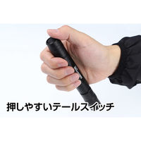 ジェントス SNMシンプルトーチ SNM-H132D 1セット(2個)