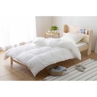 アイリスオーヤマ 掛け布団 洗える シングル 抗菌 防臭 吸湿 放湿 寝具 介護 布団 かけ布団 さらさら掛けふとん FMDK-S 1枚