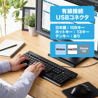 キーボード 有線 USB-A 洗える メンブレン テンキー付き 高耐久設計 ブラック TK-WS01UMKBK エレコム 1個