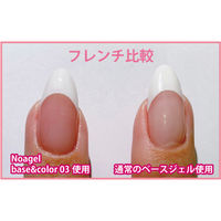 SHAREYDVA Ｎｏａ ｇｅｌ（ノアジェル） Ｂａｓｅ＆Ｃｏｌｏｒ 2 ４ｇ 1個（直送品）