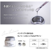 SHAREYDVA メタリカ メタリックジェル ｇ０１ ジェムシルバー ４ｇ 1個（直送品）