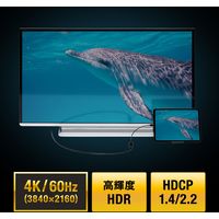 サンワサプライ USB Type C-HDMI変換アダプタ(4K/60Hz/HDR対応) AD-ALCHDR02 1個
