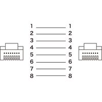 サンワサプライ カテゴリ6AフラットLANケーブル(ホワイト・10m) KB-FL6A-10W 1本