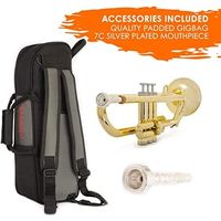 pBone music トランペット PTRUMPET1HTG / GOLD 1箱(1個入)（直送品）