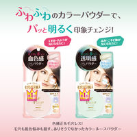 常盤薬品工業 毛穴パテ職人 カラールースパウダー 02 4964596700217 6個（直送品）