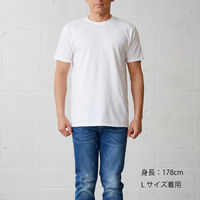 TRUSS フルーツベーシックTシャツ　サイズM　4.8oz　ホワイト　1セット（2着入）（直送品）