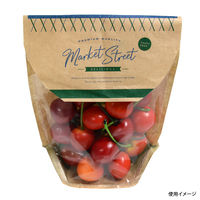 クラフトスタンドバッグ MS 14-17 3000枚(50×60) 00680565 1ケース(3000枚入(50枚×60袋))（直送品）