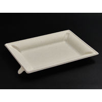 エコ容器 WB麦バガス プレート20-15 パルプモールド プレート本体 白色 800枚(50×16) 639718（直送品）