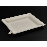 パックスタイル エコ容器 WB麦バガス プレート20-17 パルプモールド プレート本体 白色　600枚(50×12) 639720（直送品）